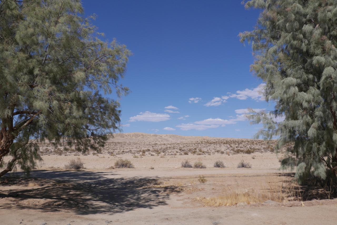 Campbell House Hotel Twentynine Palms Exterior foto
